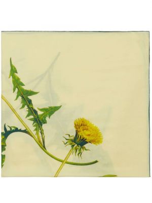 Schal mit print Burberry gelb
