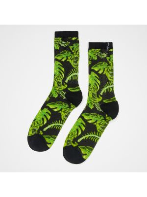 Socks Organics Santa Cruz