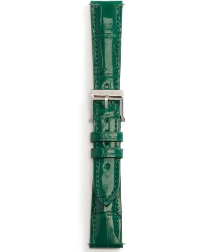 Relojes Dolce & Gabbana verde