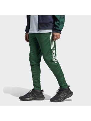 Pantalones de chándal Adidas verde