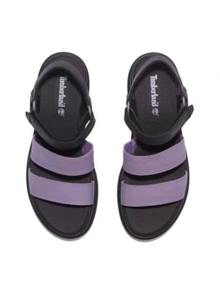 Calzado Timberland violeta