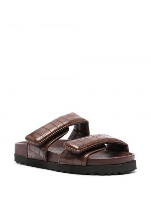 Sandaalid Giaborghini pruun