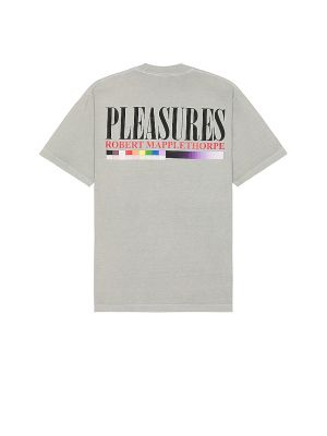 T-shirt Pleasures gris