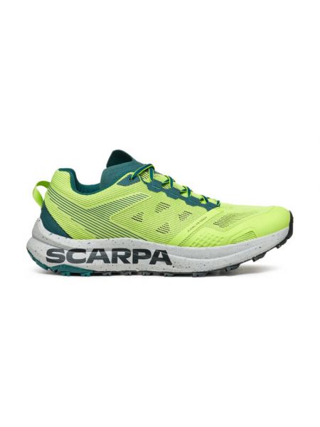 Sneaker Scarpa grün