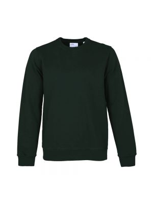 Sweter Colorful Standard zielony