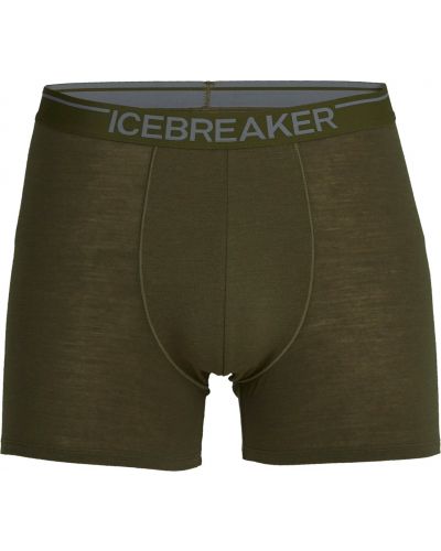 Nohavičky Icebreaker sivá