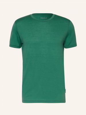 Tričko z merino vlny Devold zelené