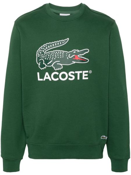 Sweatshirt aus baumwoll mit print Lacoste grün