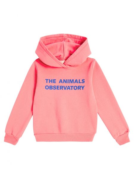 Hoodie i bomull i jersey för tjejer The Animals Observatory rosa