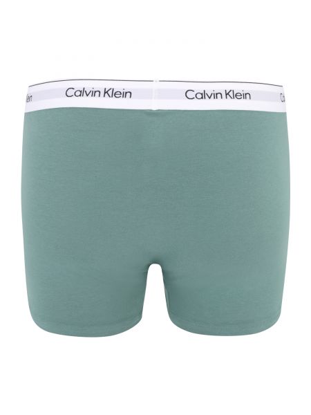 Меланжирани боксерки Calvin Klein Underwear Plus