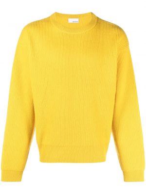 Vlnený sveter Sage Nation žltá