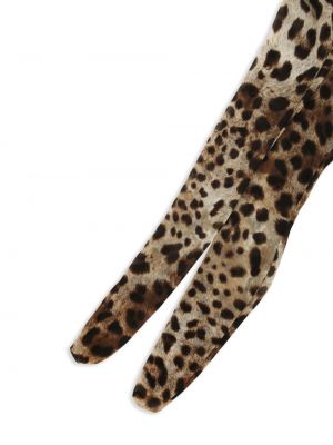Tylové leopardí punčocháče s potiskem Dolce & Gabbana hnědé