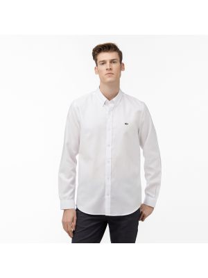 Белая рубашка Lacoste