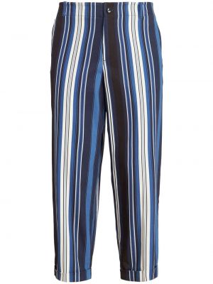 Pantalon à rayures Etro bleu