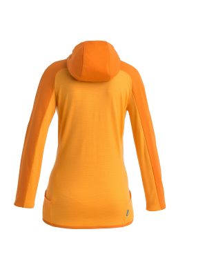 Sportiska stila džemperis Icebreaker oranžs