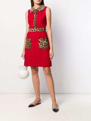 Vestido leopardo bootcut Dolce & Gabbana rojo
