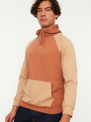 Kapučdžemperis ar garām piedurknēm Trendyol brūns