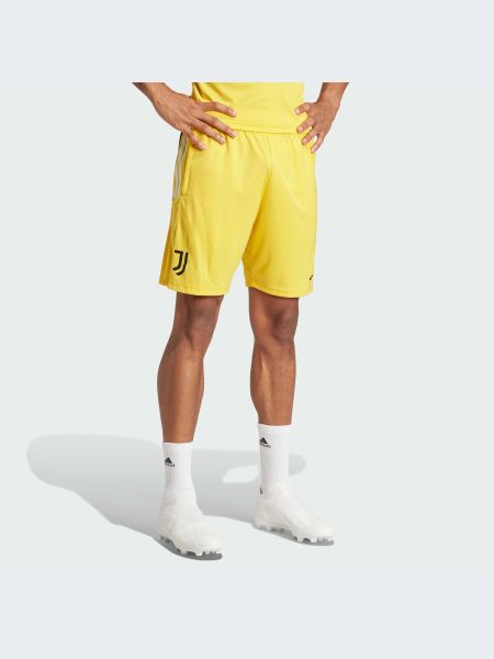 Спортивні шорти Adidas золоті