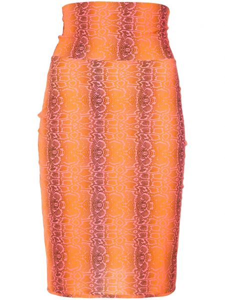 Raštuotas pieštuko formos sijonas Amir Slama