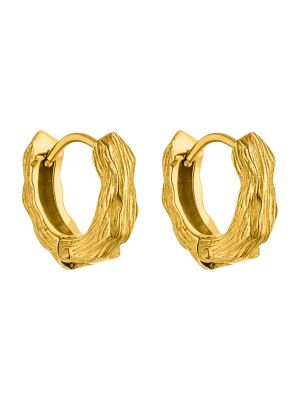 Σκουλαρίκια Purelei χρυσό