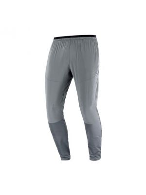 Pantalones de chándal Salomon gris