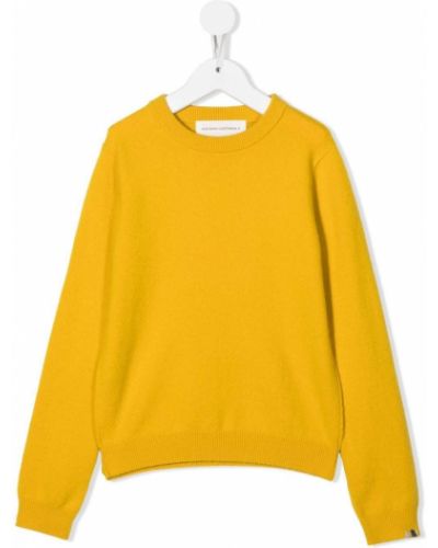 Pull en cachemire en tricot avec manches longues Extreme Cashmere jaune