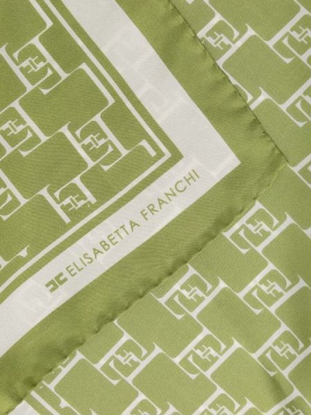 Шелковый шарф Elisabetta Franchi зеленый