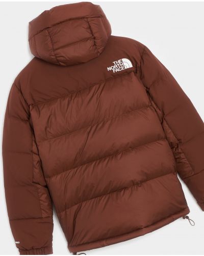 Куртка The North Face коричнева