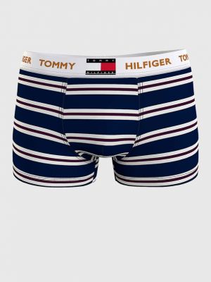 Boxeralsó Tommy Hilfiger Underwear kék