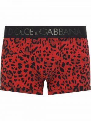 Leopard trykt boksershorts Dolce & Gabbana rød