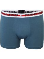 Мъжки дрехи Tommy Hilfiger Underwear
