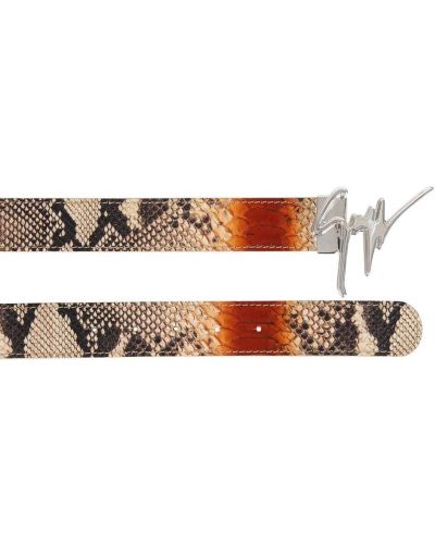 Cinturón de estampado de serpiente Giuseppe Zanotti marrón