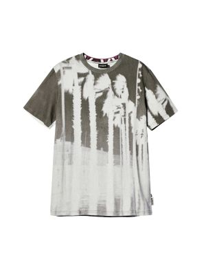T-shirt Desigual gris