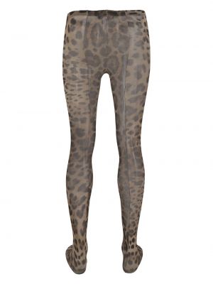 Collants à imprimé à imprimé léopard Dolce & Gabbana marron