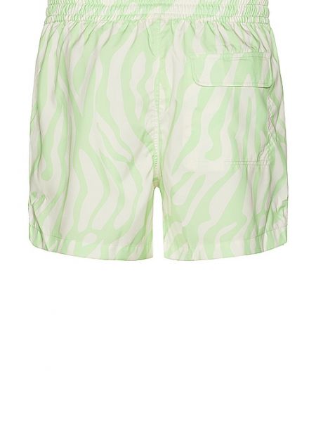 Pantaloncini zebrati Duvin Design verde