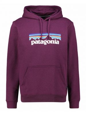 Толстовка Patagonia