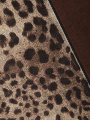 Raštuotas kašmyro šalikas leopardinis Dolce & Gabbana