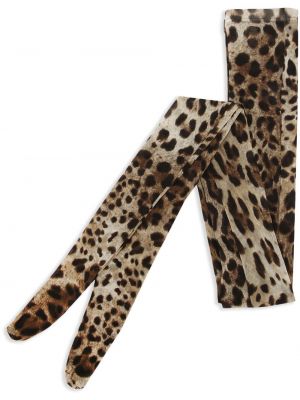 Tylové leopardí punčocháče s potiskem Dolce & Gabbana hnědé