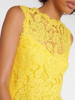Nėriniuotas medvilninis suknele Dolce&gabbana geltona