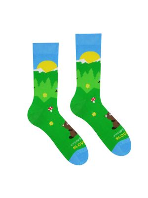 Ponožky Hestysocks zelené