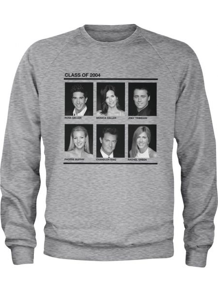 Пуловер Friends серый
