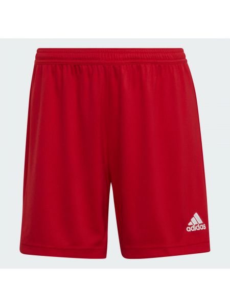 Szorty Adidas czerwone