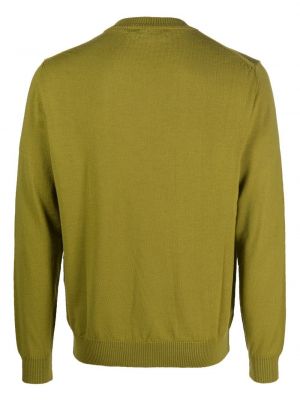 Džemperis ar apaļu kakla izgriezumu Costumein zaļš