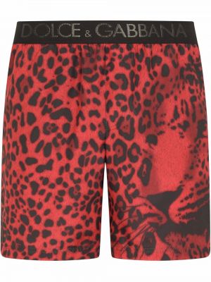 Leopard trykt shorts Dolce & Gabbana rød