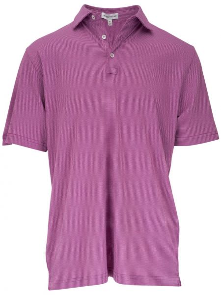 Medvilninis polo marškinėliai Peter Millar violetinė