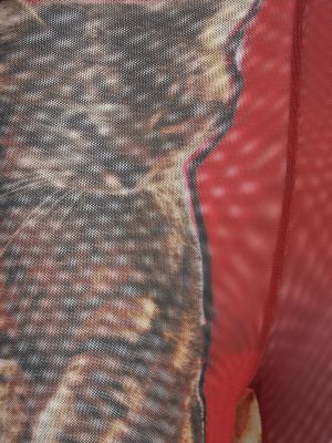 Nohavice so sieťovinou Ottolinger červená