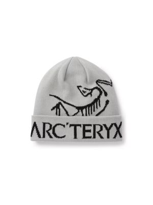 Мужская шапка Arcteryx, gray-orca