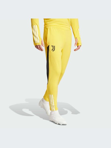 Спортивные штаны Adidas золотые