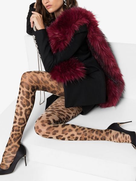 Leopardí punčocháče s potiskem Dolce & Gabbana hnědé