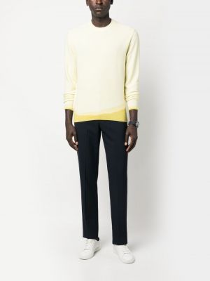 Sweatshirt mit rundhalsausschnitt Zegna gelb
